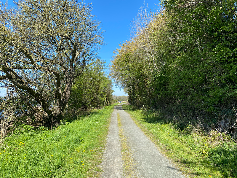 Vandreruten